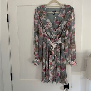 NWT EXPRESS dress (long sleeves) size Large